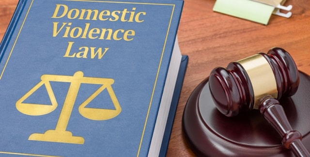 DOMESTIC VIOLENCE CASE LAWYER IN DELHI